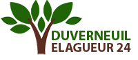 elagage-duverneuil-elagueur-24